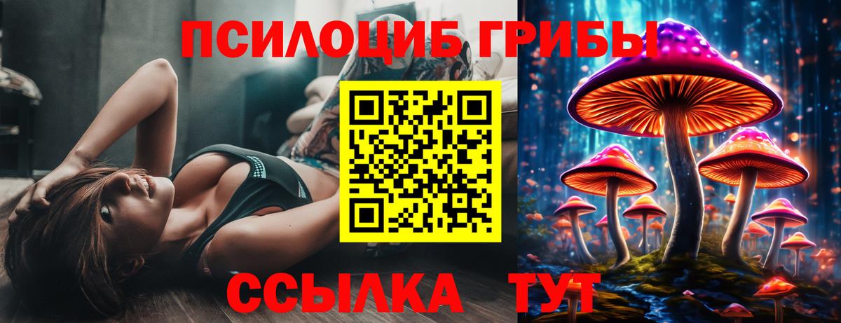Ефремов  Псилоцибиновые грибы Cubensis  Псилоцибиновые грибы мицелий  Вход с VPN 